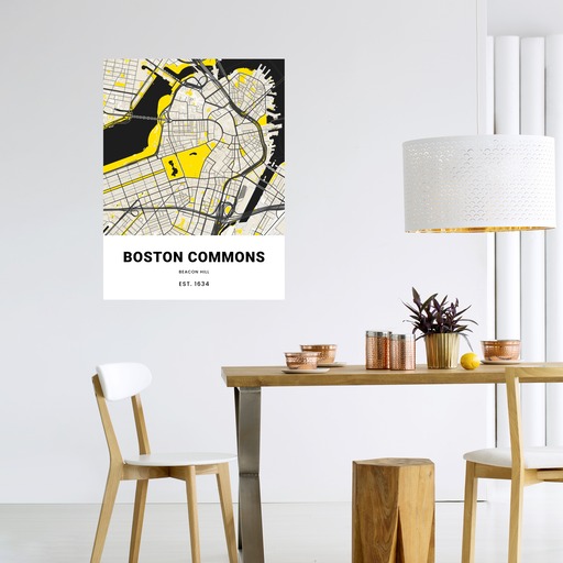 Boston Commons Poster - Street Map 6