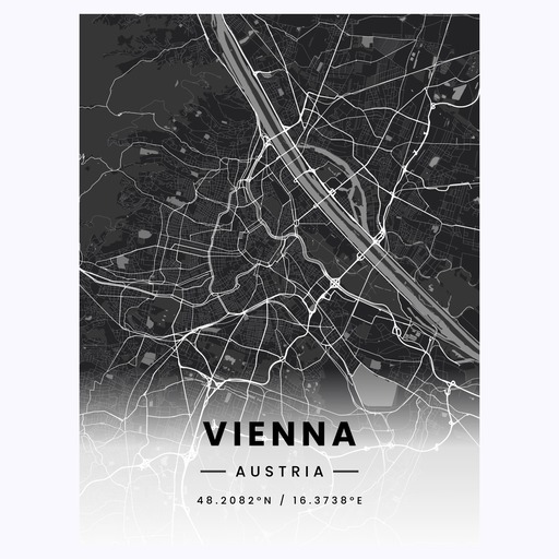 Vienna in Dark Poster - Street Map 1