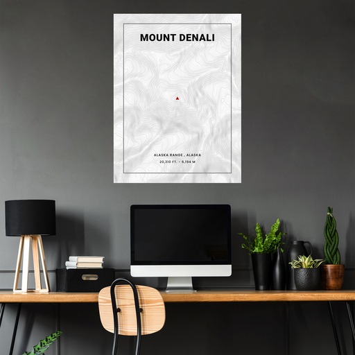 Mount Denali Poster - Topo Map 5